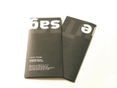 Wille Tunnel/Passage Flyer